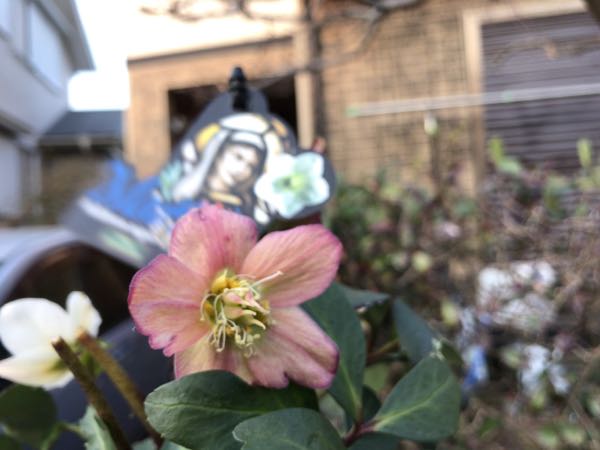 rblog-20170227213813-07.jpg