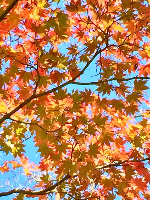 rblog-20171111182716-05.jpg