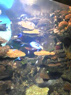 PA0_0020.JPG