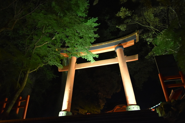 宇佐神宮3.JPG