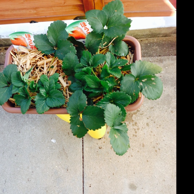 rblog-20131109144228-02.jpg
