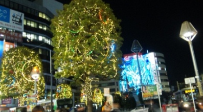 131123イルミ.JPG