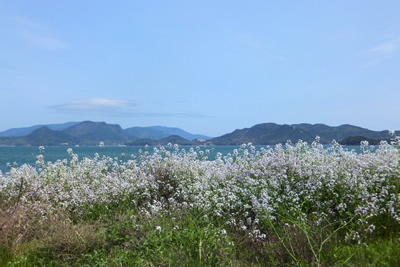 DSCF8301.jpg