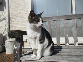 IMG_6172ss.jpg