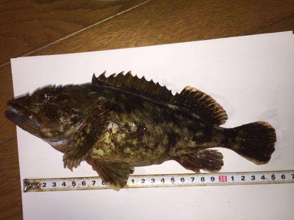 rblog-20141218160738-01.jpg