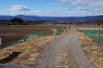 田んぼ160115