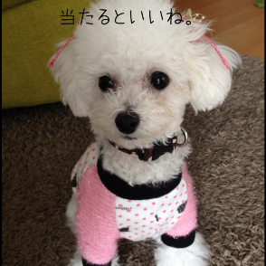 IMG_5449.png