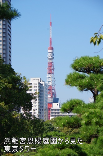 浜離宮恩賜庭園にて