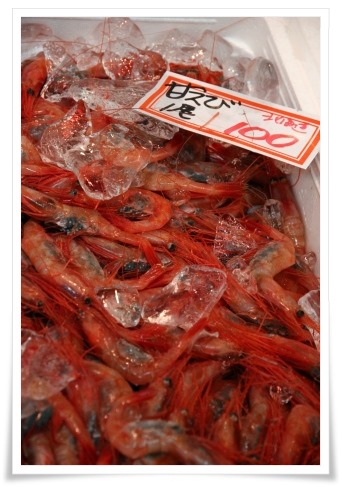 いきいき魚市-4 13.12.29