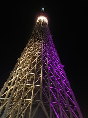 P2010018.jpg