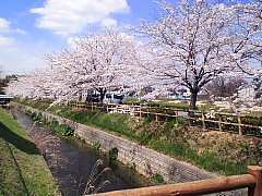 conv0646.JPG