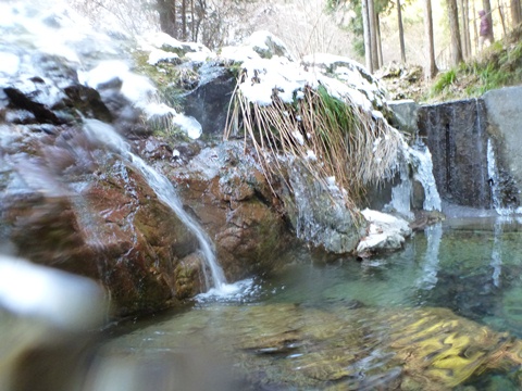 P1010557.JPG