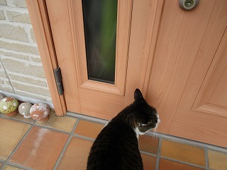 IMG_6271ss.jpg