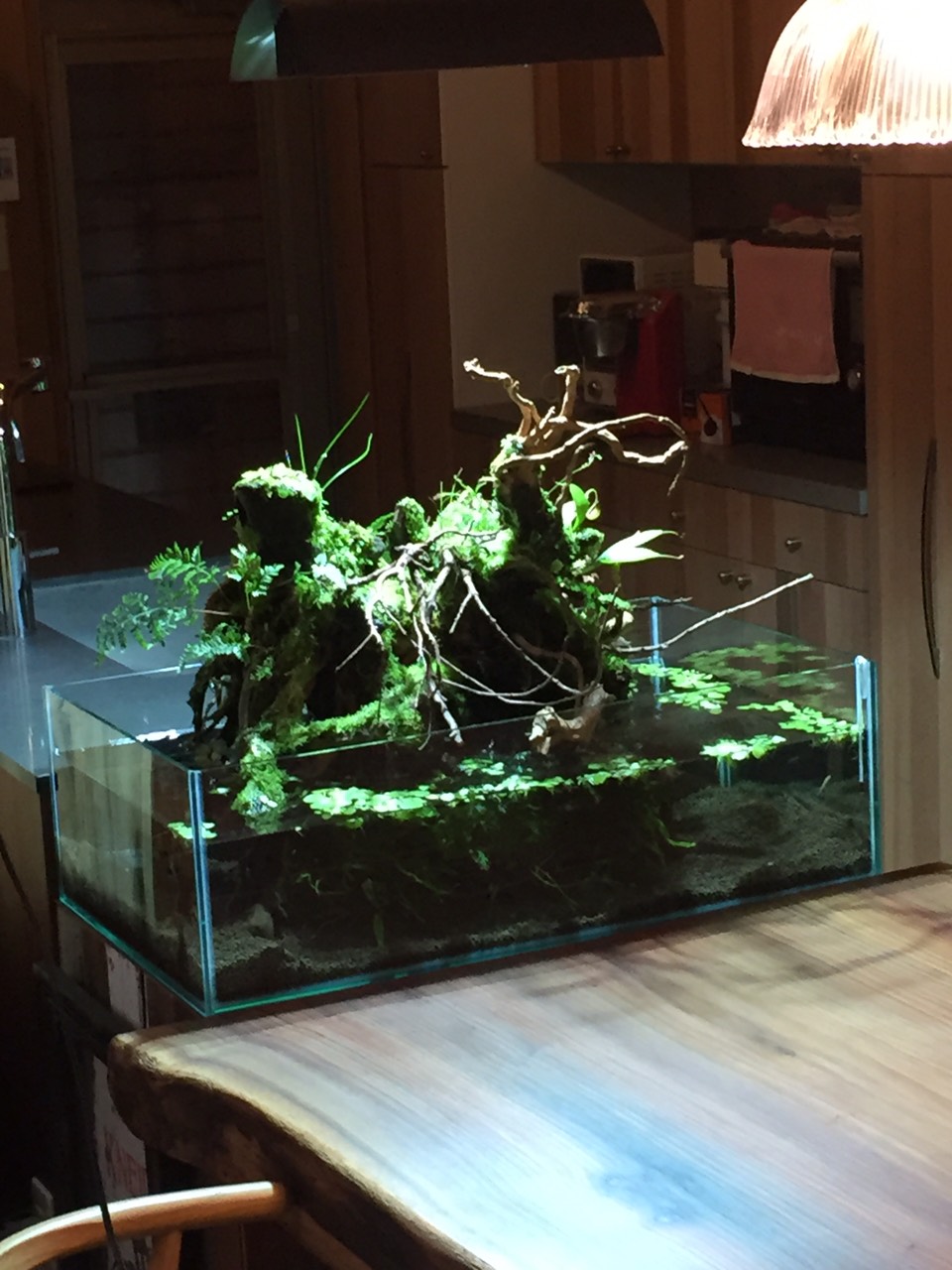 S__2523148.jpg
