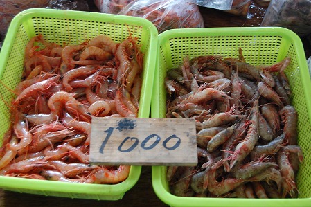 DSC_0976.jpg