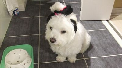 ごちそう様でした＾＾