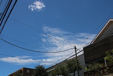 IMG_2835-15.jpg