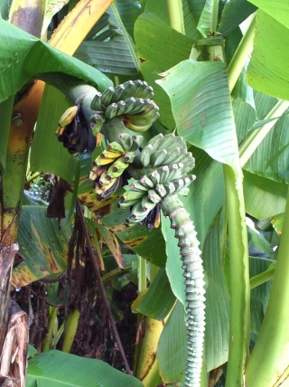 KIMG0034 (640x480).jpg