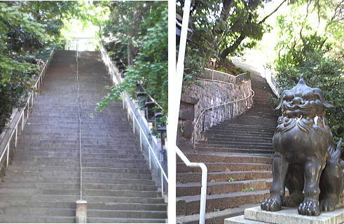 愛宕神社の石段を下から望む