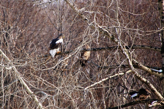 IMG_0006.JPG