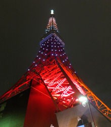 HIGHBALLGARDEN9