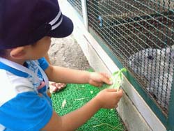 2012061910220000.jpg