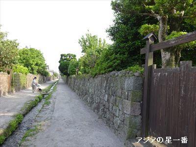 20160523 有明湾干潟7