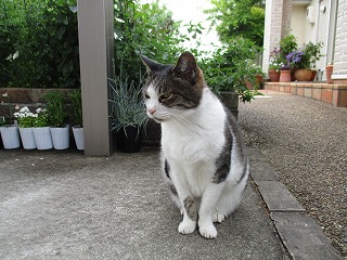 IMG_0532ss.jpg
