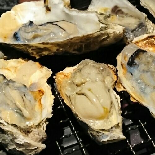 rblog-20160124205713-01.jpg