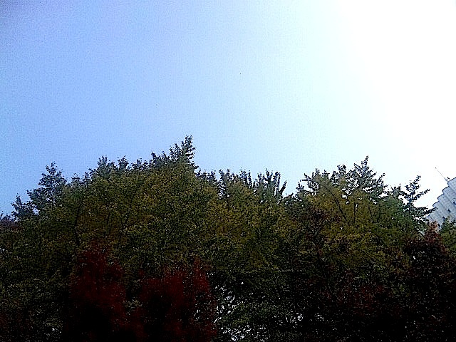 111130_130750.jpg