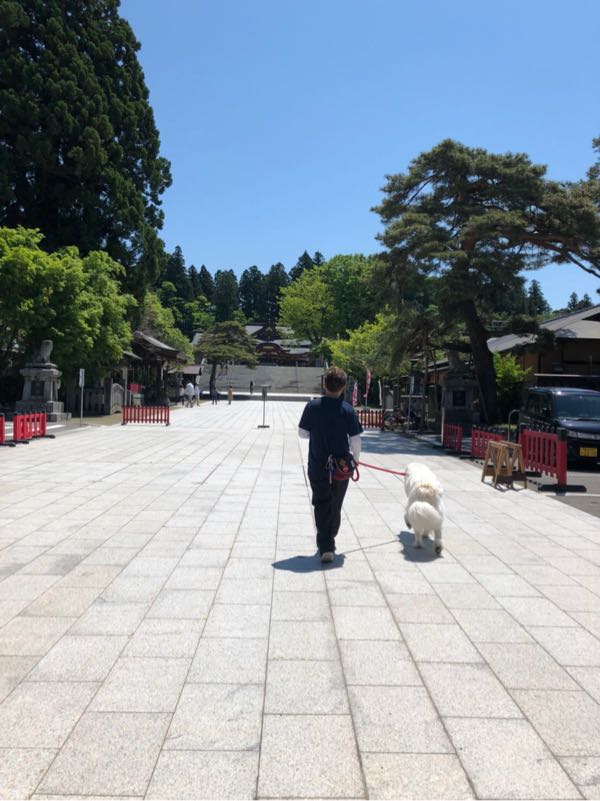 rblog-20180520200534-05.jpg