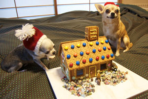 お菓子の家といぬ