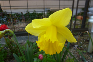 P1040002.png
