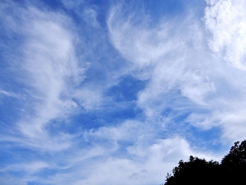 空5
