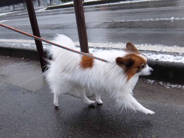 2015_1219_20523100.jpg
