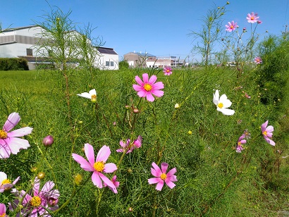 P_20150914_101411.jpg