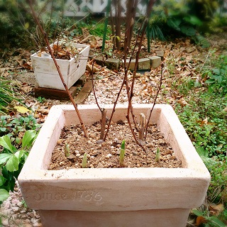 2013-12-26-15-50-19_deco.jpg
