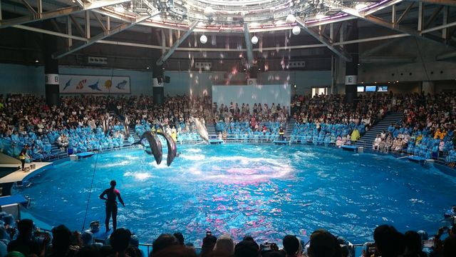 2015-08-23 10.42.38.jpg