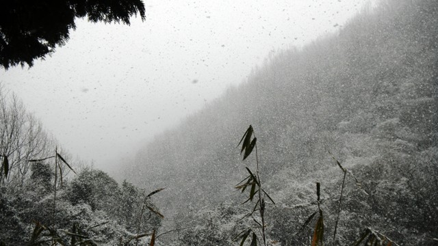 小塩山登山道・雪景色