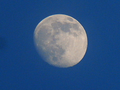 conv0557.JPG