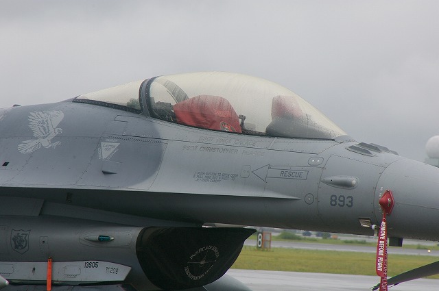 IMGP1155.jpg