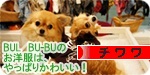 BUL banner.JPG