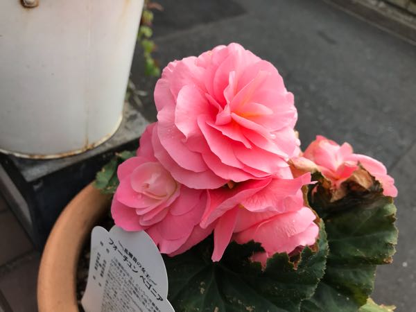 rblog-20181203161122-05.jpg