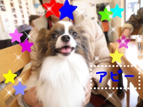 ｱﾋﾞｰ.JPG