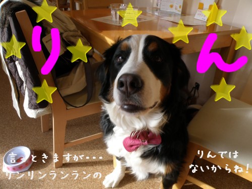 りん.JPG