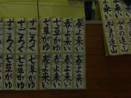 DSCN6417-w256.jpg
