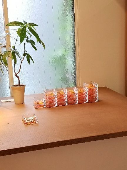 rblog-20170805080901-05.jpg