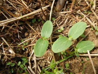 DSCN0091.jpg
