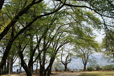 沼田公園3