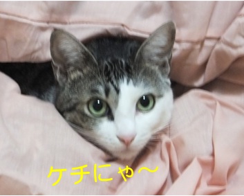 20121028_4.jpg